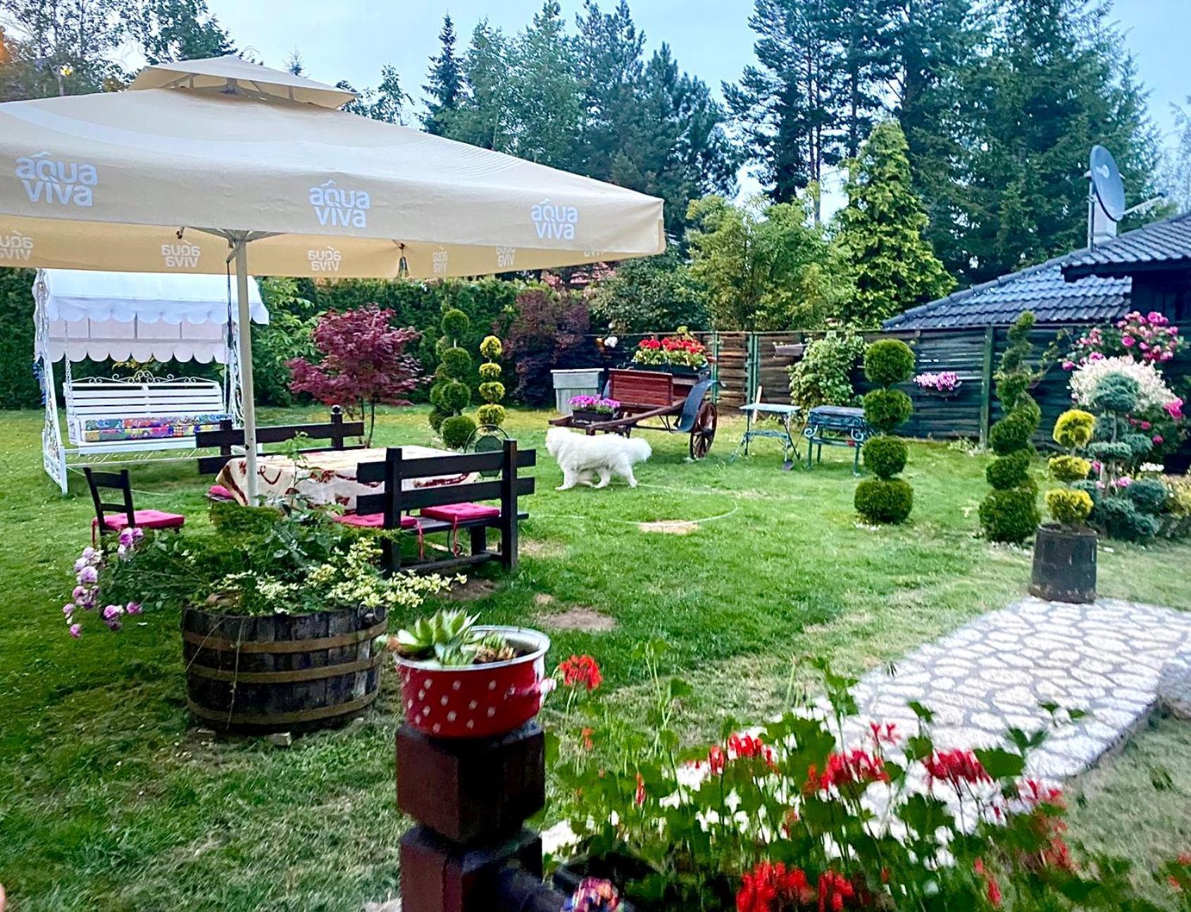 Villa Miris Dunja Zlatibor Buitenkant foto