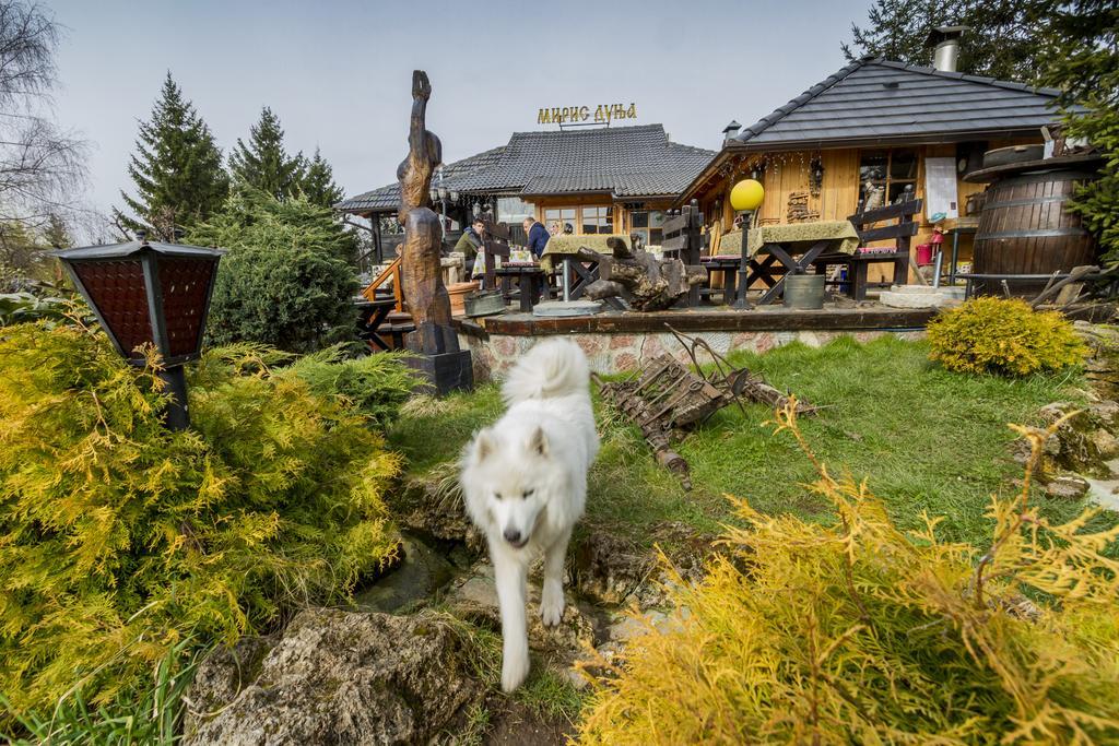 Villa Miris Dunja Zlatibor Buitenkant foto