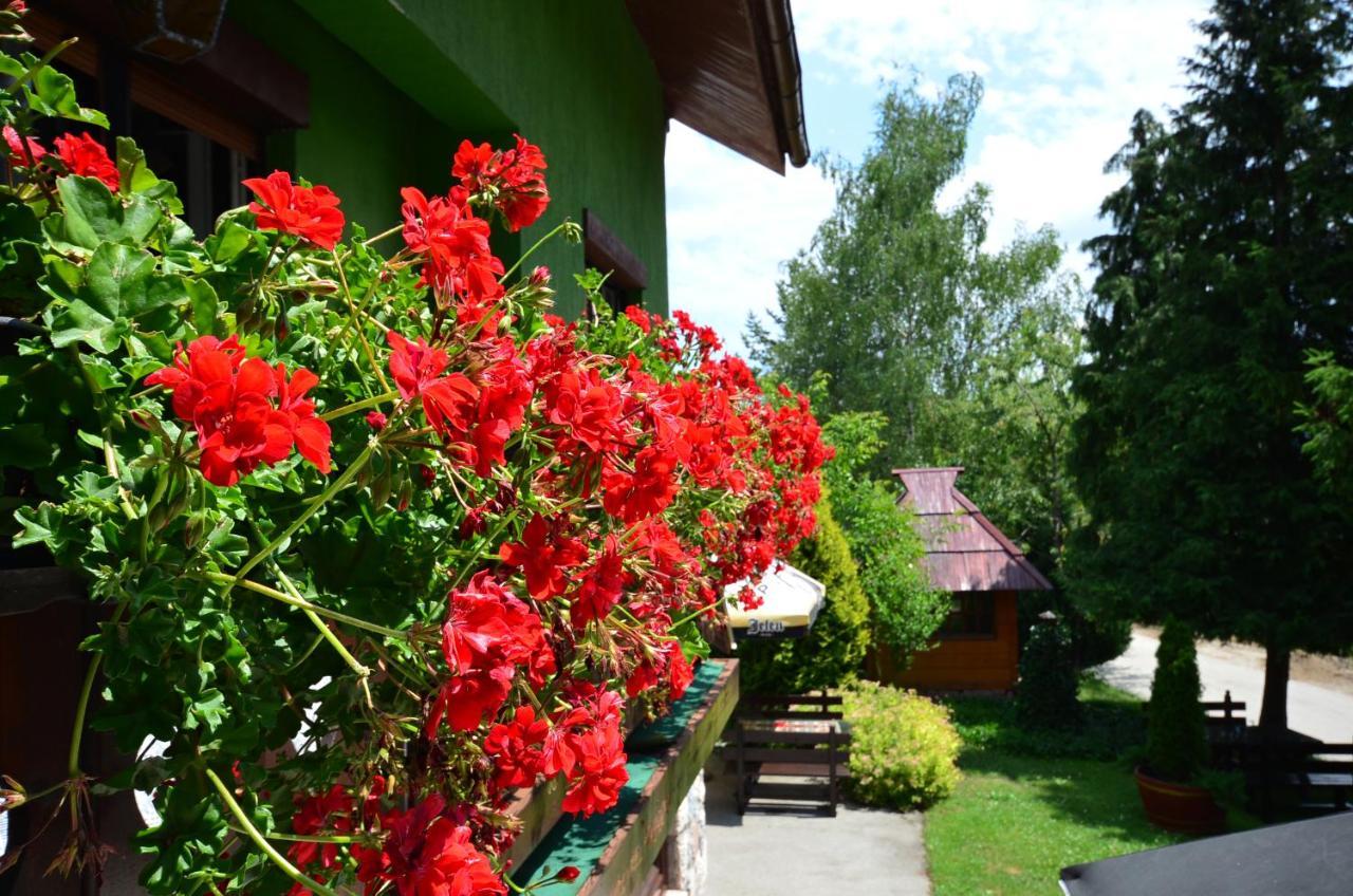 Villa Miris Dunja Zlatibor Buitenkant foto